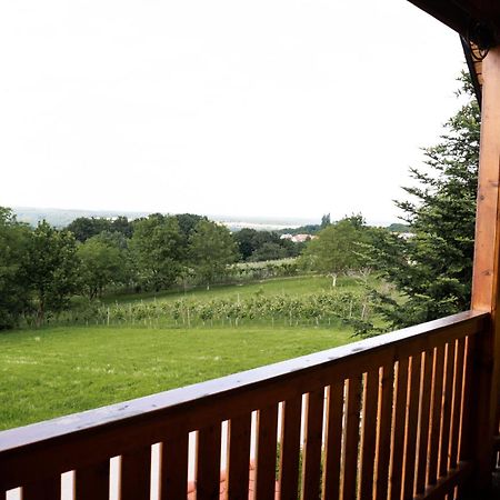 Apartma-Spa Natura Sveti Jurij ob Scavnici Экстерьер фото