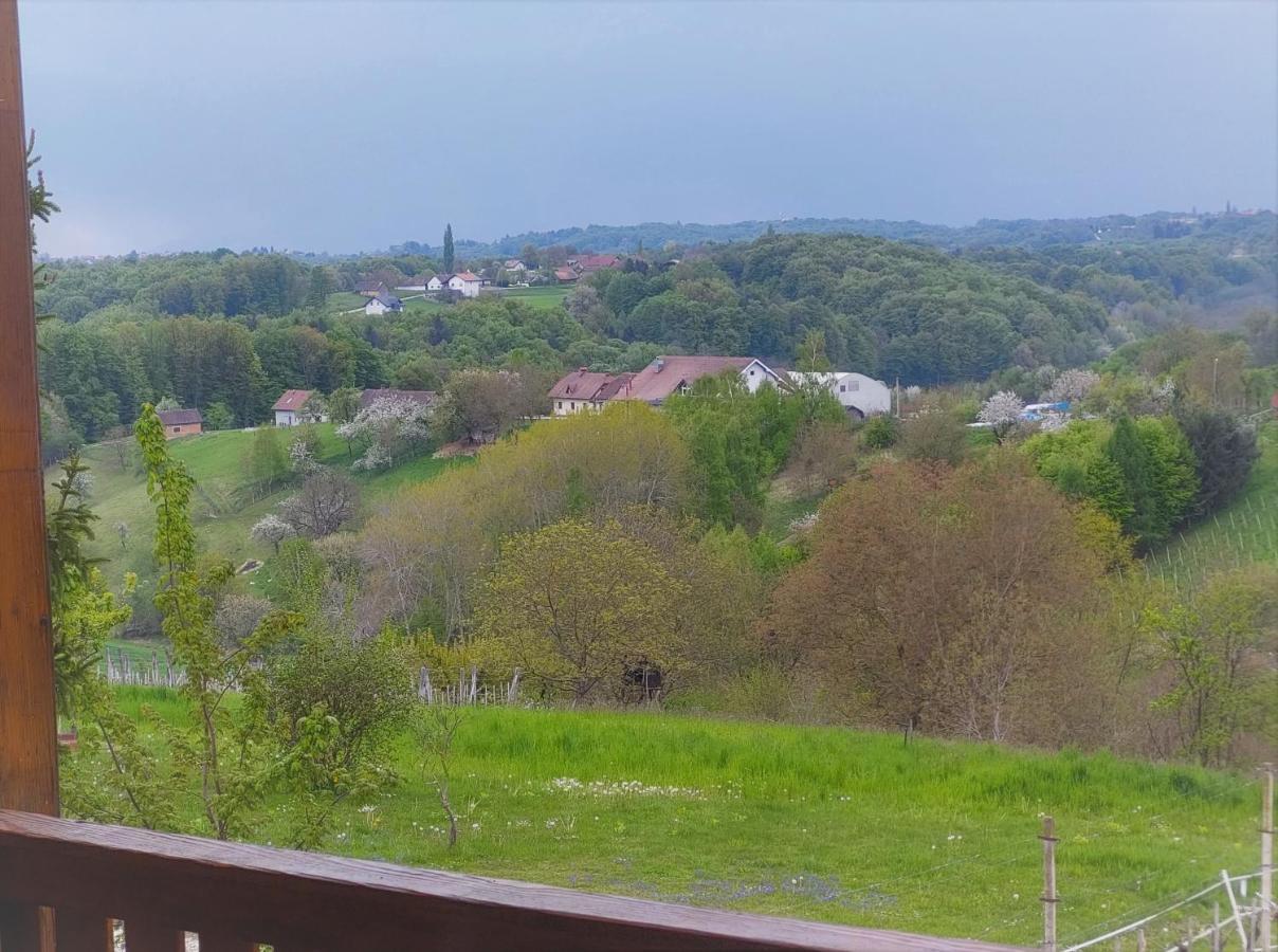 Apartma-Spa Natura Sveti Jurij ob Scavnici Экстерьер фото